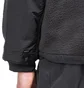 The North Face Denali 2 Fleece Jacket (Schwarz)