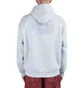 Carhartt WIP Hooded Duel Sweat (Hellblau)