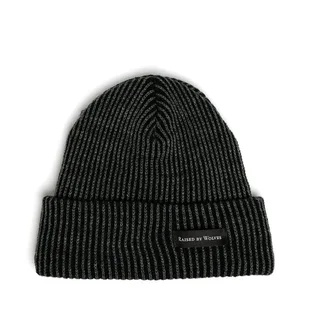 Raised by Wolves Vertical Stripe Watch Cap (Schwarz / Grau)