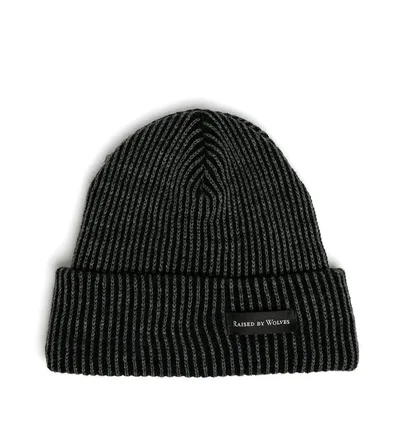 Raised by Wolves Vertical Stripe Watch Cap (Schwarz / Grau)