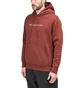 Raised by Wolves Logotype Hoodie (Weinrot)