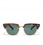 Epokhe Neto (Tortoise Polished / Gold)