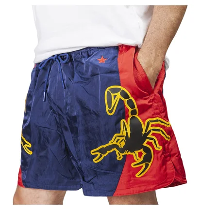 Nike Sportswear Webshorts (Blau / Rot)