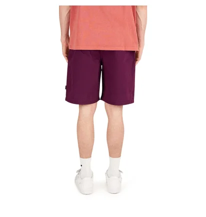 Stüssy Brushed Beach Short (Pflaume)