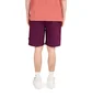 Stüssy Brushed Beach Short (Pflaume)