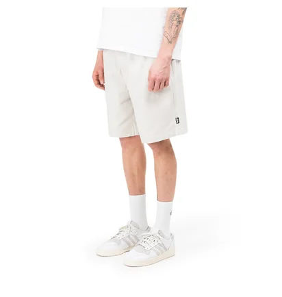 Stüssy Brushed Beach Shorts (Weiß)