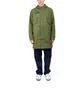 adidas Halewood SPZL Jacke (Grün)