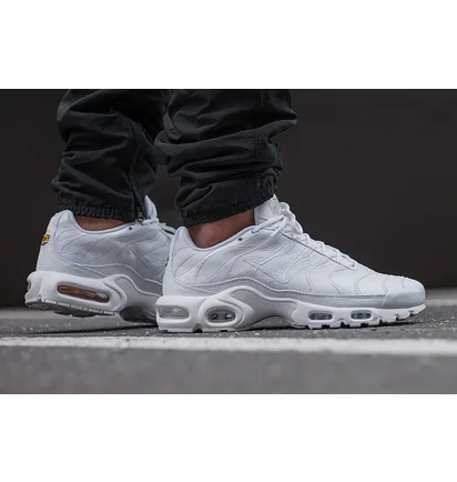 Nike Air Max Plus (Triple Weiß)
