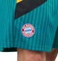 adidas FC Bayern Icon Shorts (Grün / Gelb / Schwarz)
