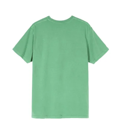 Stüssy Pig. Dyed Stones Tee (Grün)