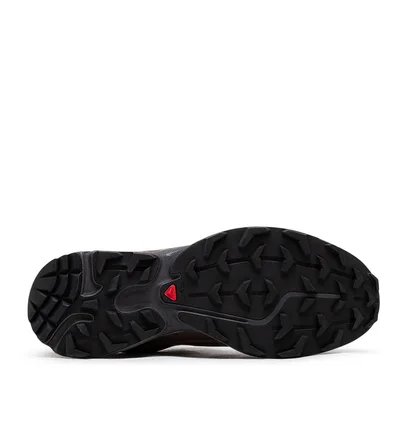 Salomon XT-6 GTX (Braun)