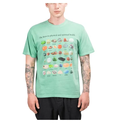 Stüssy Pig. Dyed Stones Tee (Grün)