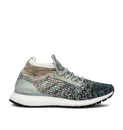 adidas UltraBoost All Terrain LTD (Multi)