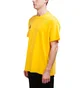 Nike ACG Logo T-Shirt (Grün)