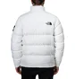 The North Face M 1992 Nuptse Jacket 'Lunar Voyage' (Weiß)