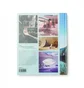 Gestalten: Dreamscapes and Artificial Architecture