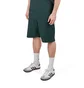 Dime Wave Cable Knit Shorts (Grün)