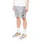 Stone Island Nylon Metal Swim Shorts (Grau)