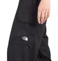 The North Face Karakash Cargo Pant (Schwarz)