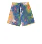 Aimé Leon Dore Leisure Shorts Multicolor 2 (Multi)