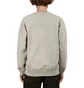 Carhartt WIP Ashfield Sweat (Grau)