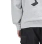 Stüssy Warrior Man Hood (Grau)