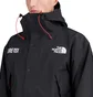 The North Face GTX Mountain Jacket (Schwarz)