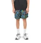 Nike ACG Shorts (Multi)