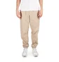 The North Face Karakash Cargo Pant (Flax)