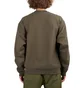 Carhartt WIP American Script Sweatshirt (Grün)
