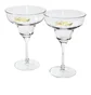 Carhartt WIP Carhartt Lounge Glass Set (Multi)