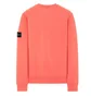Stone Island Sweatshirt (Hellorange)