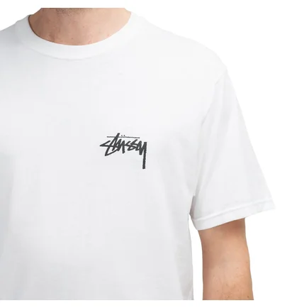 Stüssy Falls Tee (Weiß)