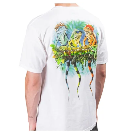 Stüssy No Bad Days Tee (Weiß)