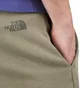 The North Face Heritage Dye Shorts (Beige)