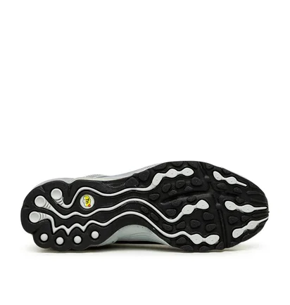 Nike Air Tuned Max (Grau)