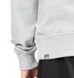 The North Face International Collection Crewneck (Hellgrau)