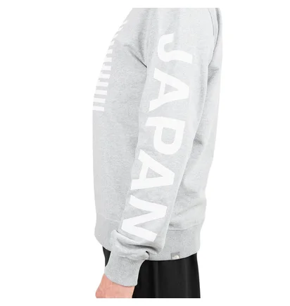 The North Face International Collection Crewneck (Hellgrau)