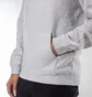 Stüssy Basic Stüssy Hood (Grau)