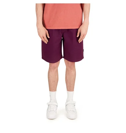 Stüssy Brushed Beach Short (Pflaume)