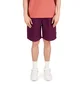 Stüssy Brushed Beach Short (Pflaume)