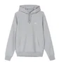 Stüssy Stock Logo Hoodie (Grau)