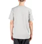 Karhu Basic Logo T-Shirt (Grau)