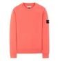Stone Island Sweatshirt (Hellorange)