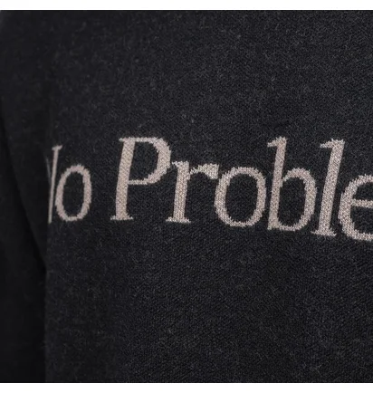 Aries No Problemo Jumper (Schwarz)