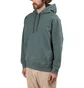 Carhartt WIP Hooded Ashfield Sweat (Grün)