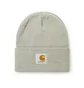 Carhartt WIP Short Watch Hat (Grau)