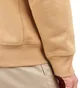 Carhartt WIP Half Zip American Script Sweat (Braun)