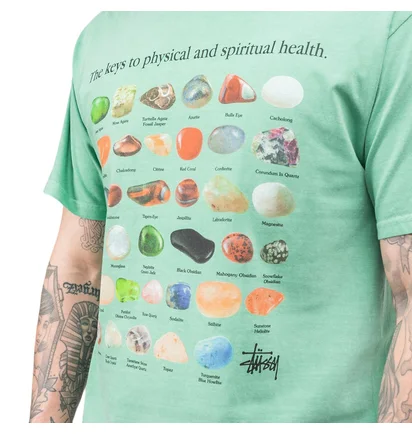 Stüssy Pig. Dyed Stones Tee (Grün)