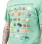 Stüssy Pig. Dyed Stones Tee (Grün)